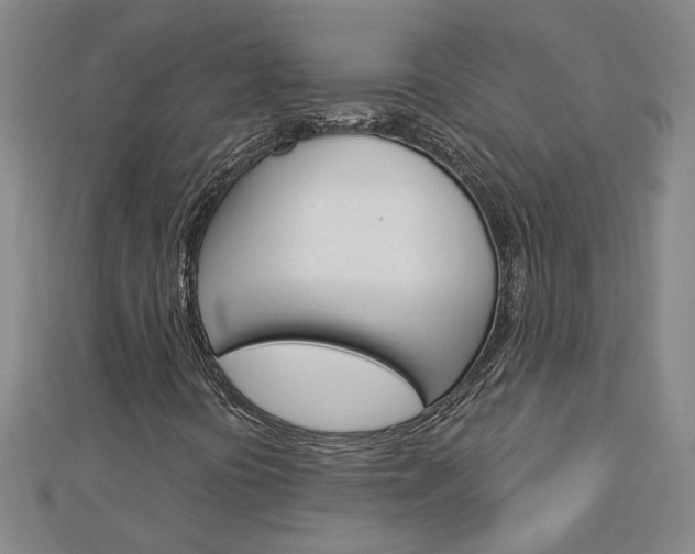 X0000113021394200908271023