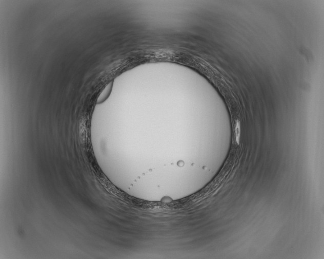 X0000113021395200908271023