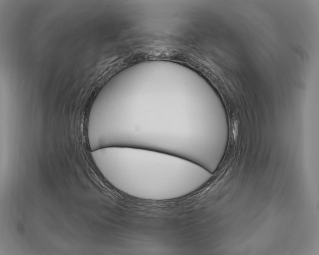 X0000113021396200908271023