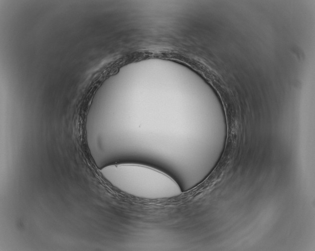 X0000113021398200908271023