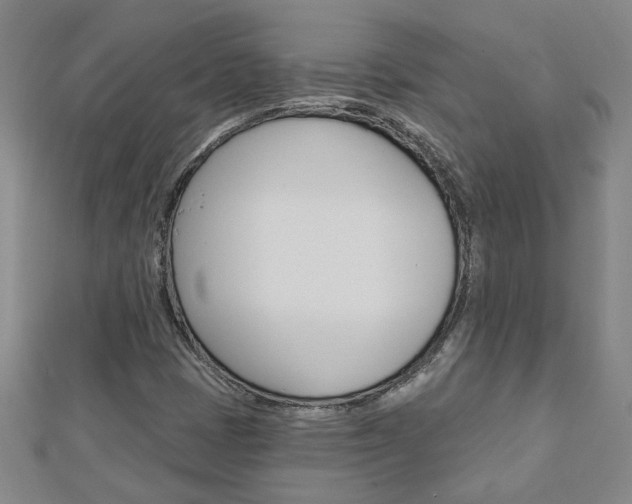 X0000113021401200908271023