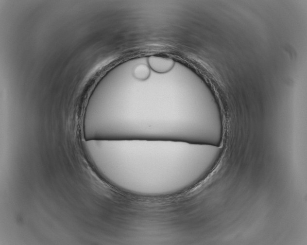 X0000113021402200908271023