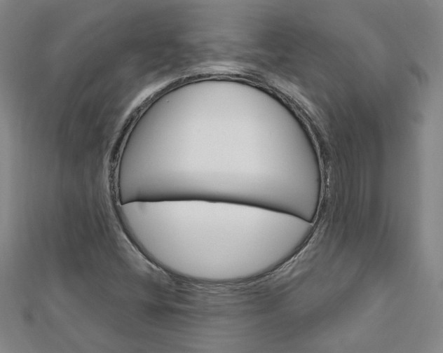 X0000113021404200908271023