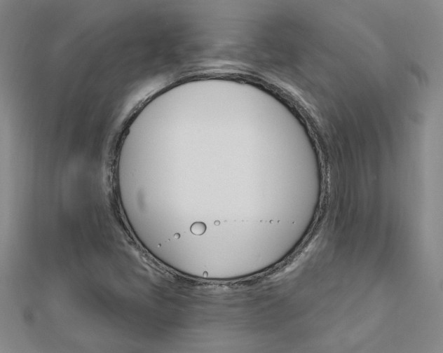 X0000113021405200908271024