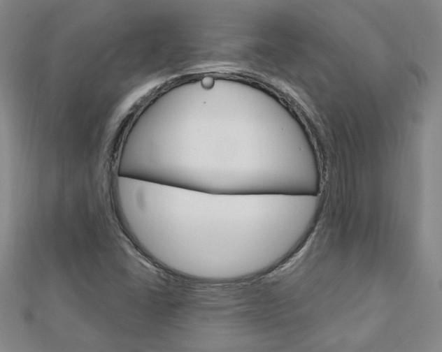 X0000113021406200908271024