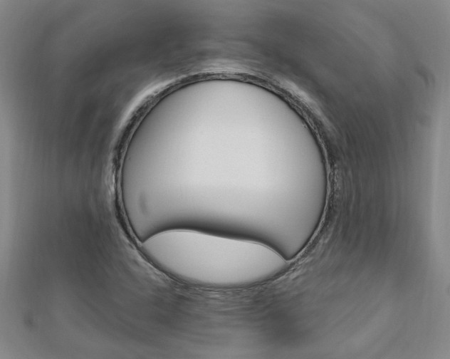 X0000113021408200908271024