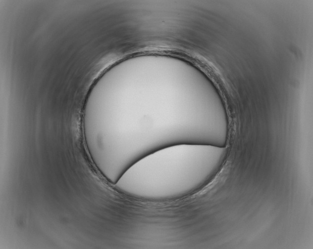 X0000113021409200908271024