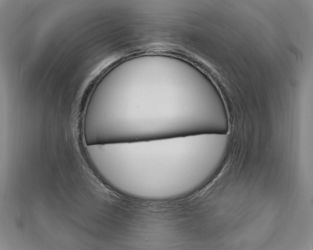 X0000113021410200908271024