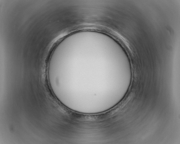 X0000113021411200908271024