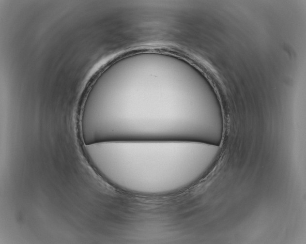 X0000113021412200908271024