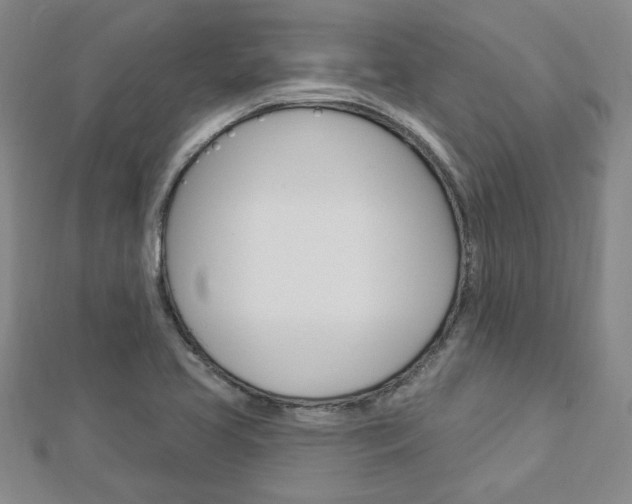 X0000113021413200908271024