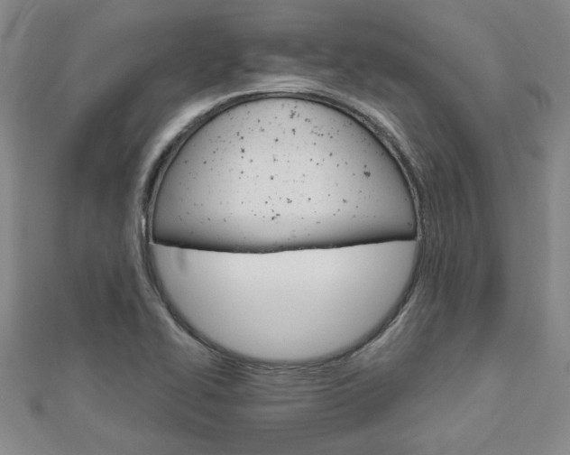 X0000113021414200908271024