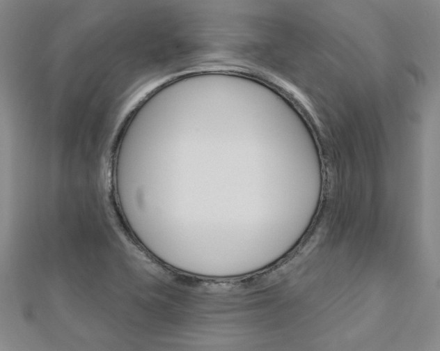 X0000113021415200908271024