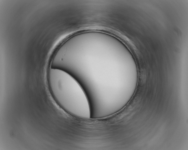 X0000113021416200908271024
