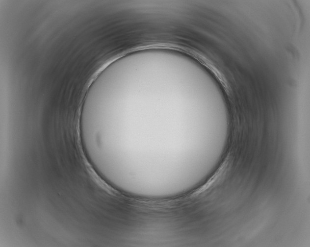 X0000113021417200908271024