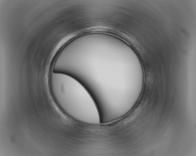 X0000113021418200908271024