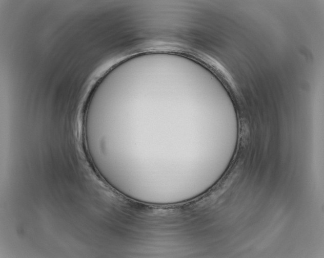 X0000113021419200908271024