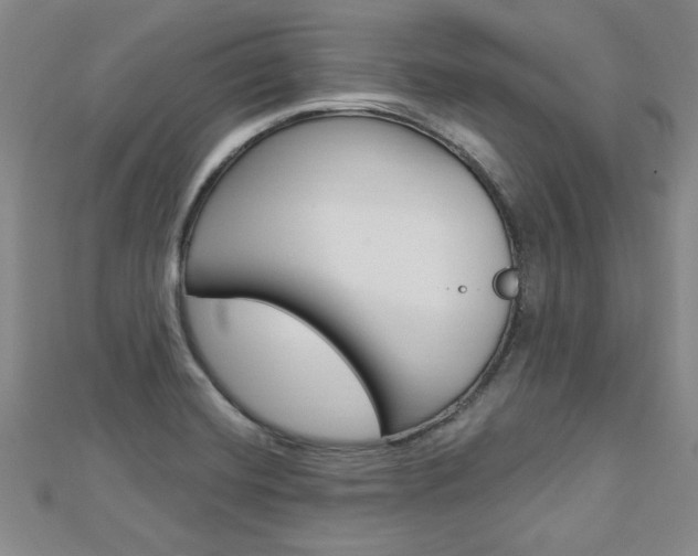 X0000113021420200908271024