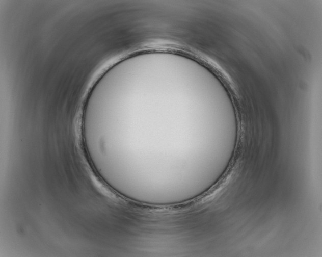 X0000113021421200908271024