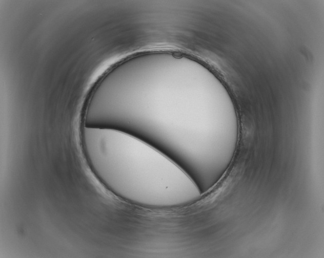 X0000113021422200908271024