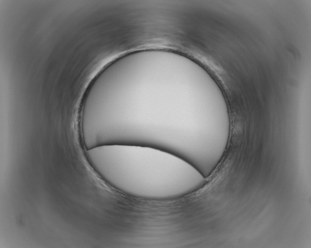 X0000113021423200908271024