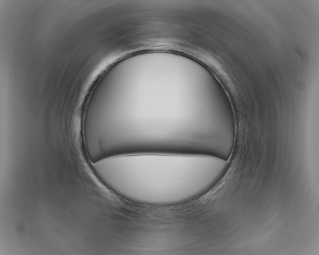X0000113021424200908271024