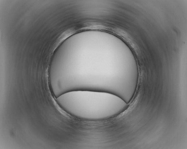 X0000113021425200908271024