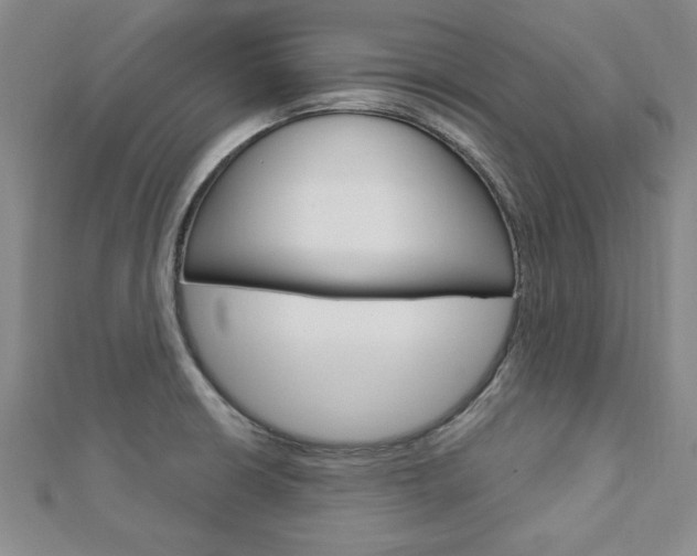 X0000113021426200908271024