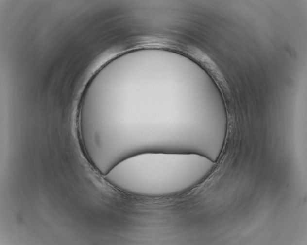 X0000113021427200908271024