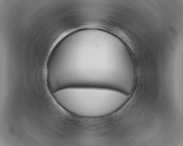 X0000113021428200908271024