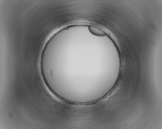 X0000113021429200908271024