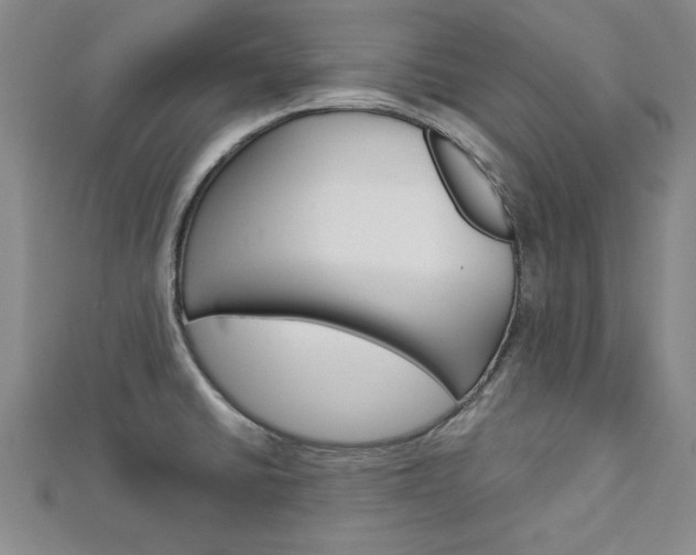 X0000113021430200908271024