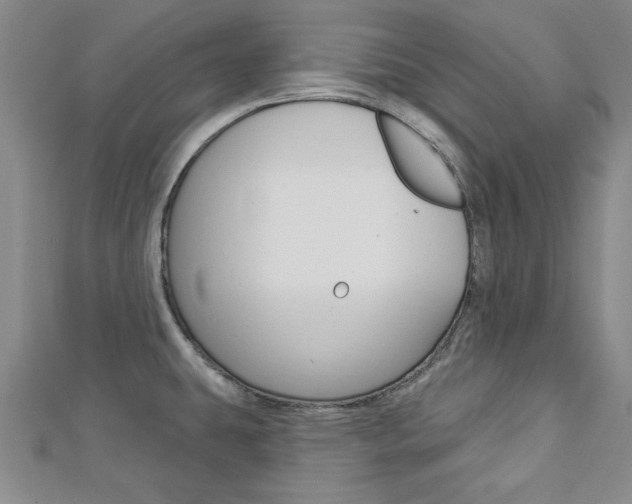 X0000113021431200908271024