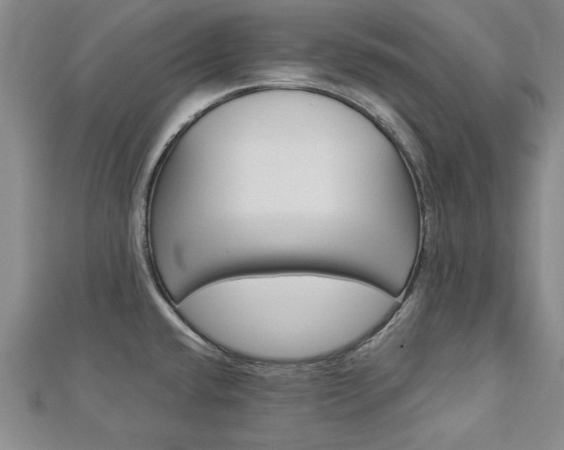 X0000113021432200908271024