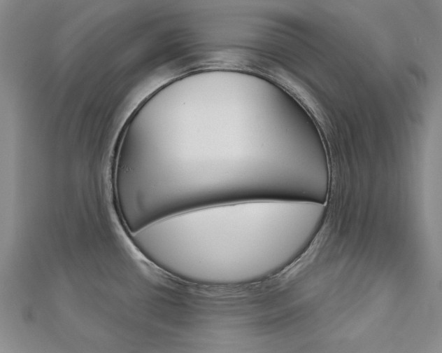 X0000113021434200908271024