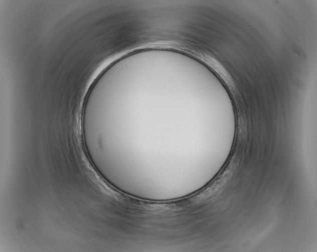 X0000113021436200908271024