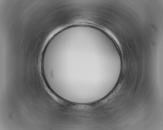 X0000113021437200908271024
