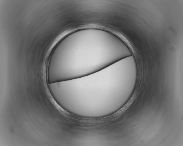 X0000113021438200908271024