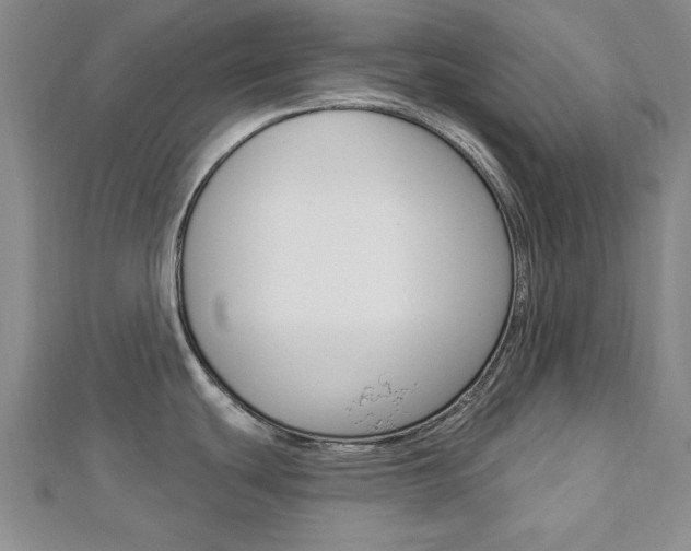 X0000113021439200908271024