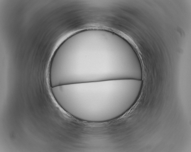 X0000113021440200908271024