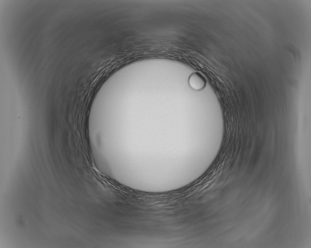 X0000113021441200908271023