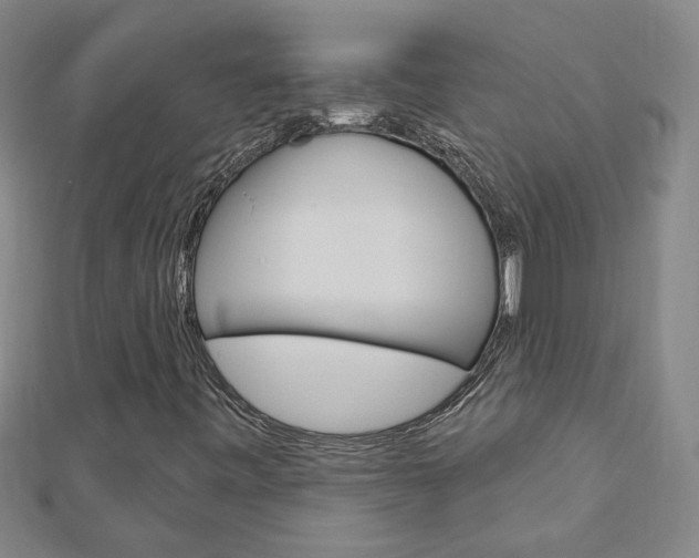 X0000113021443200908271023