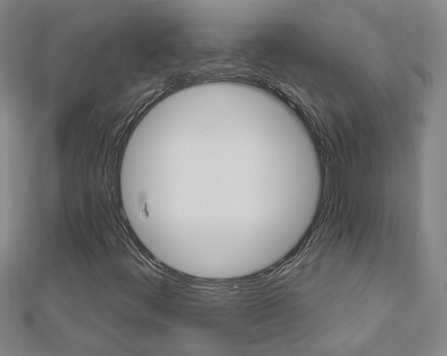 X0000113021444200908271023
