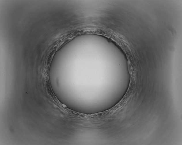 X0000113021445200908271023