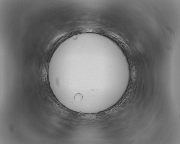 X0000113021446200908271023