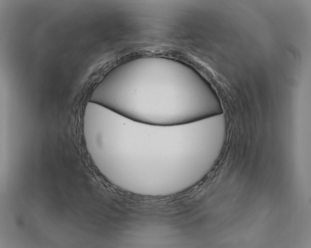 X0000113021447200908271023