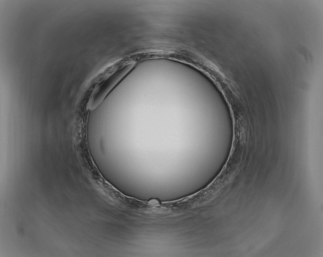 X0000113021448200908271023