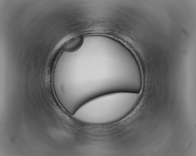 X0000113021450200908271023
