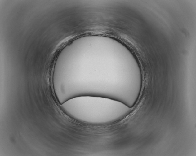 X0000113021451200908271023