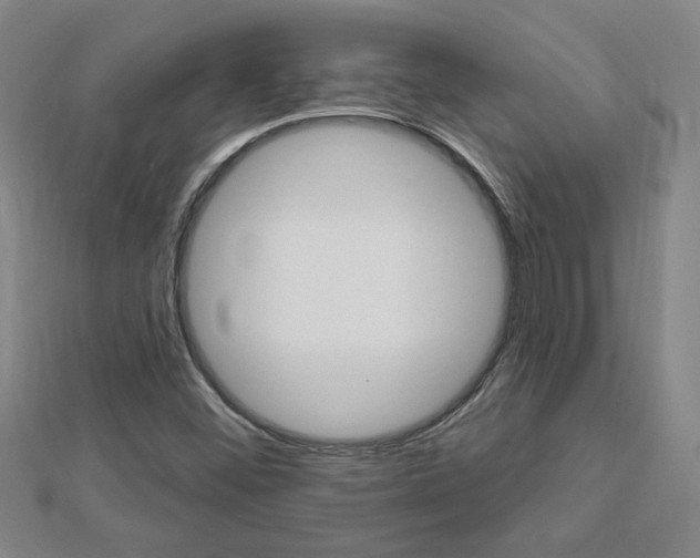 X0000113021452200908271023